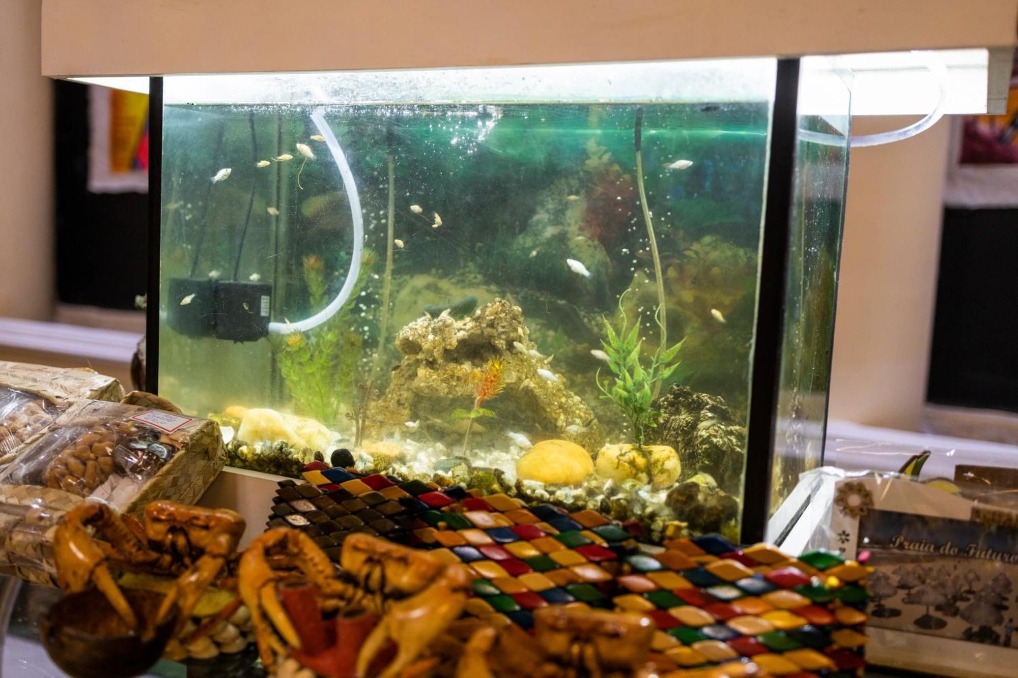 Pousada Ceara - Porto Das Dunas Aquiraz Zewnętrze zdjęcie